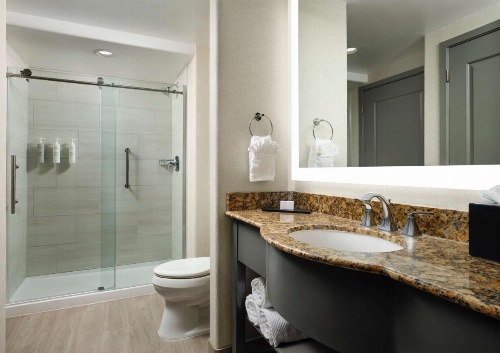 Embassy Suites by Hilton Tucson Paloma Village image 3
